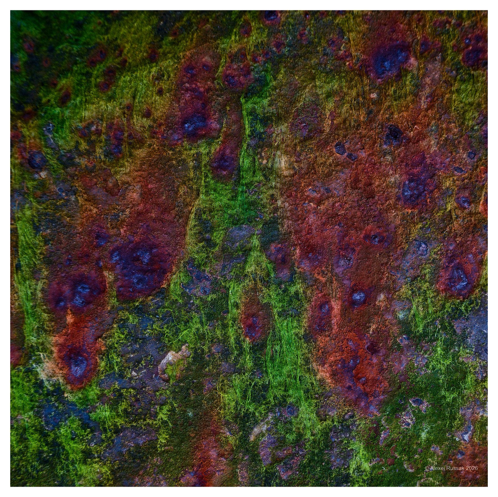 20260601-1710583650