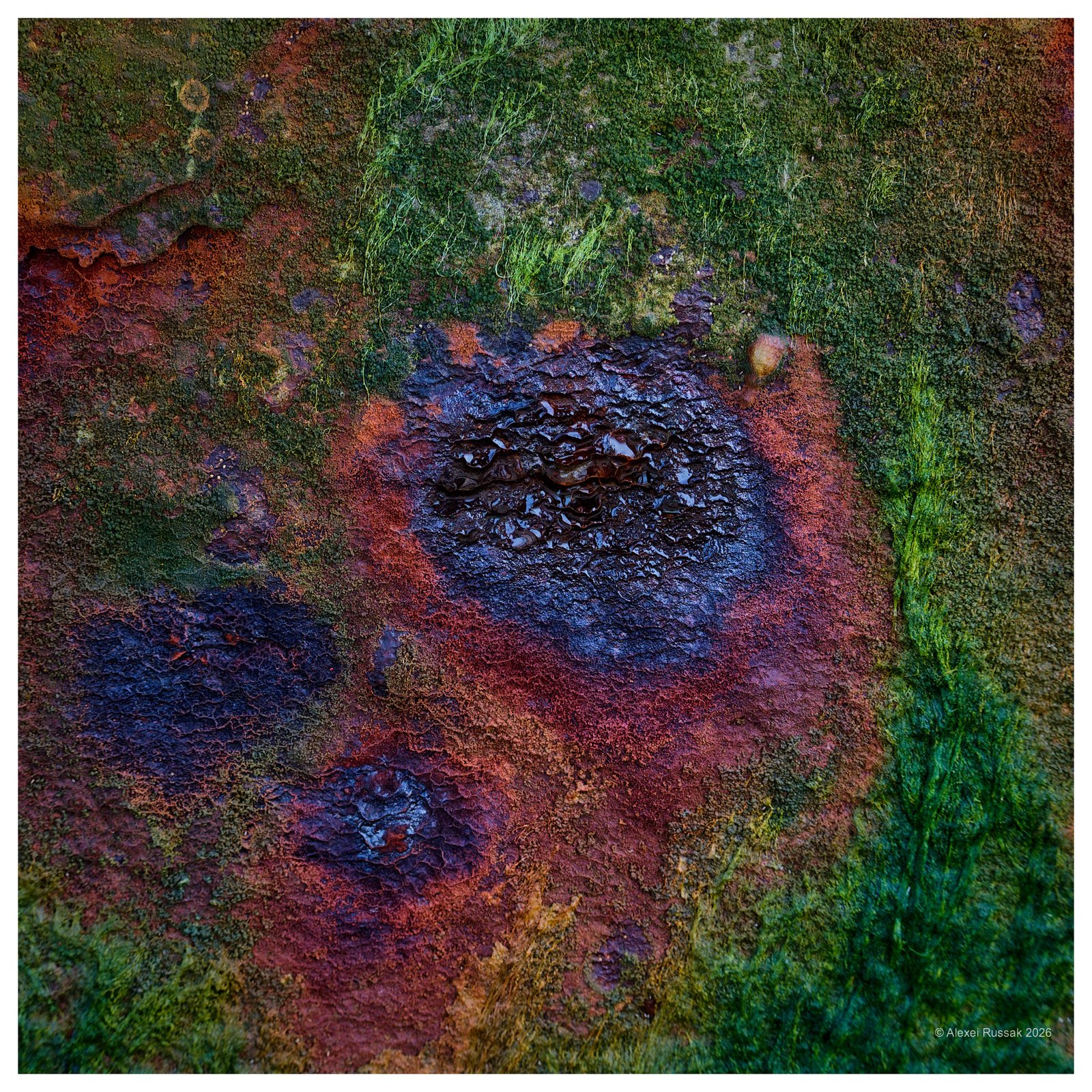 20260601-1711566980